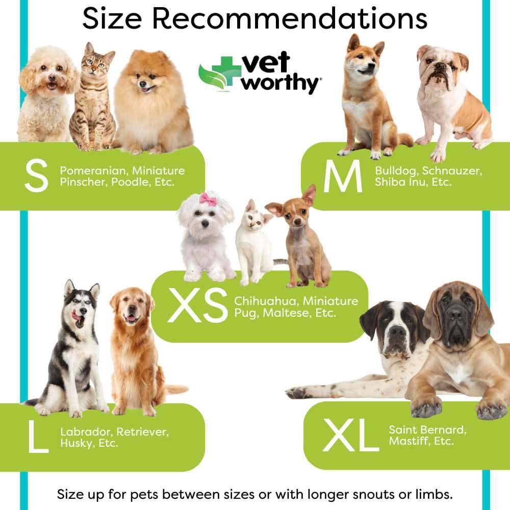 Vet Worthy Inflatable Protective Dog Collar - Image 5