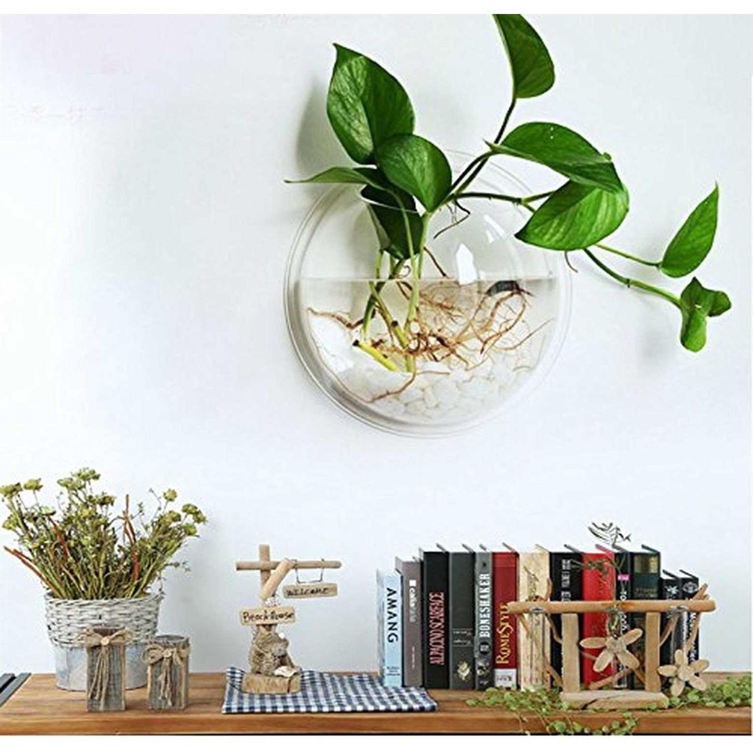 petpetssmart Wall-Hanging Fish Bowl Acrylic Wall-Mounted Plant Pot 1 Gallon Fish Tank 11.5-inches Decoration Planter - Image 4