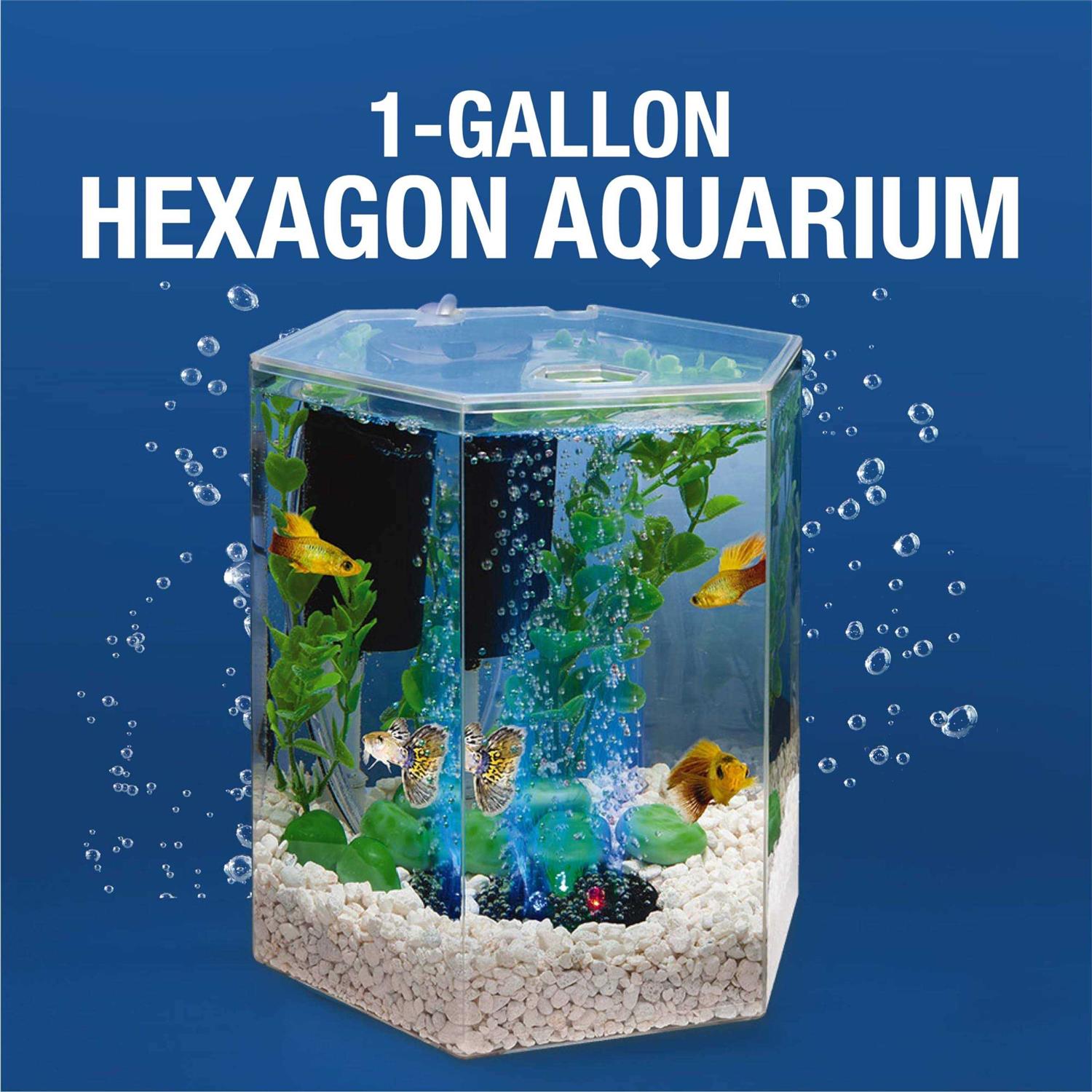 Tetra 29040 - Image 5