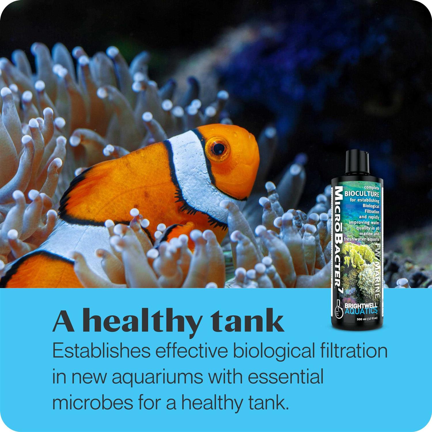 Brightwell Aquatics 1 Liter MicroBacter7 - Image 4