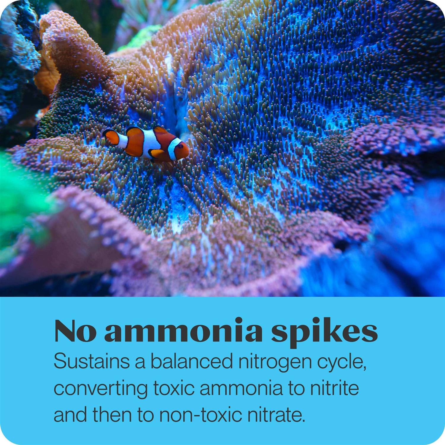 Brightwell Aquatics 1 Liter MicroBacter7 - Image 5