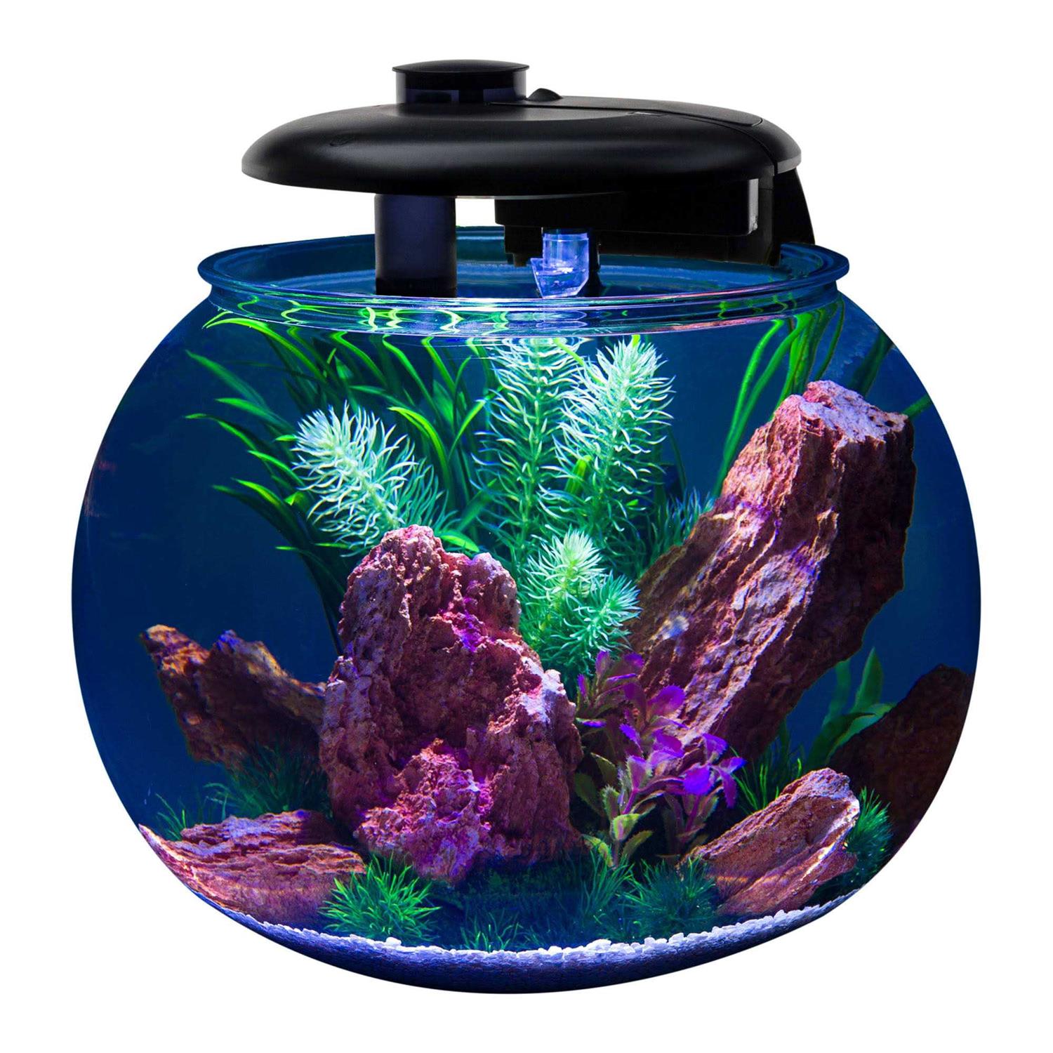 Penn-Plax Aquasphere 360 Polycarbonate Bowl-Shaped Aquarium 14 Gallon - Image 4