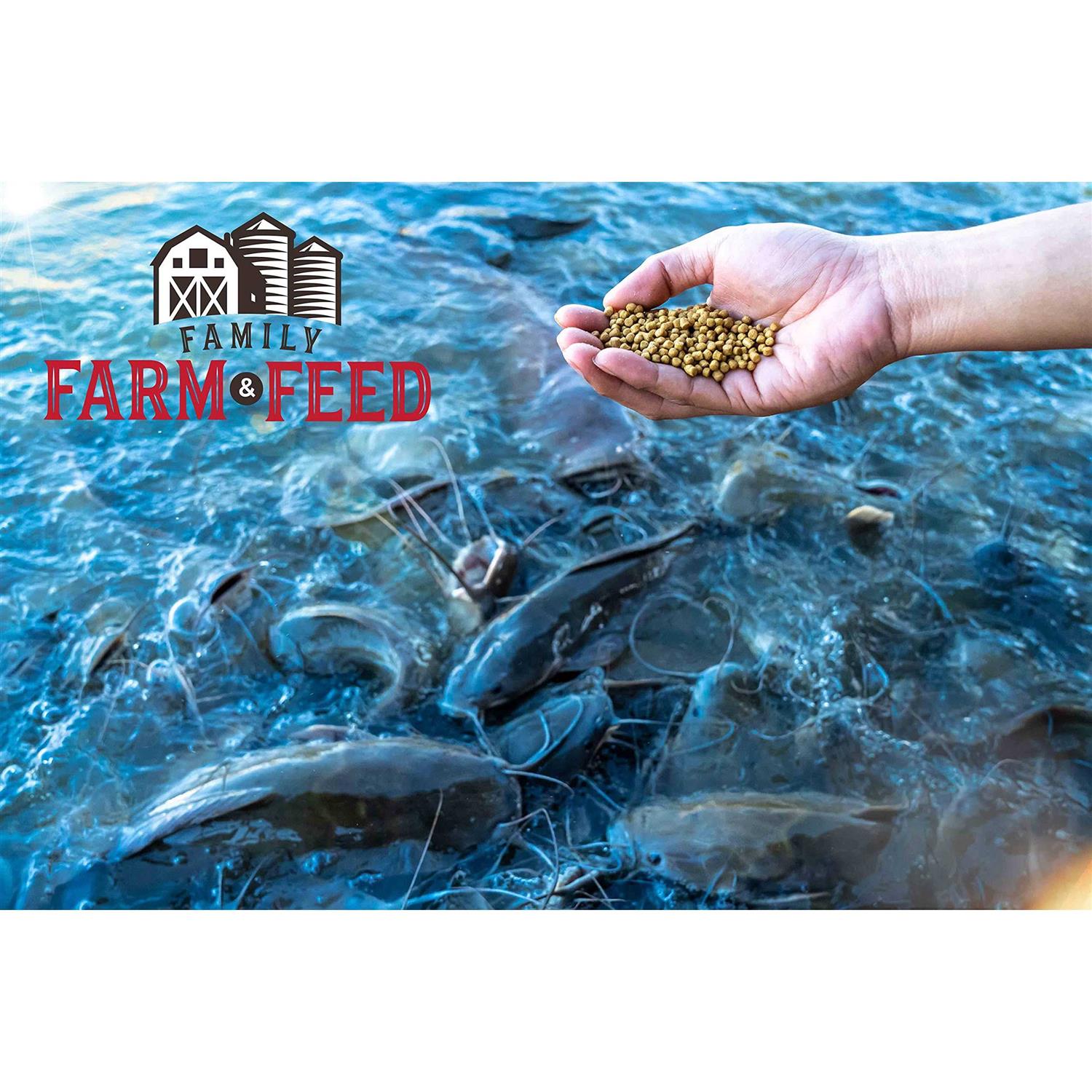 FAMILY FARM AND FEED Premium Floating Fish Food - Image 3
