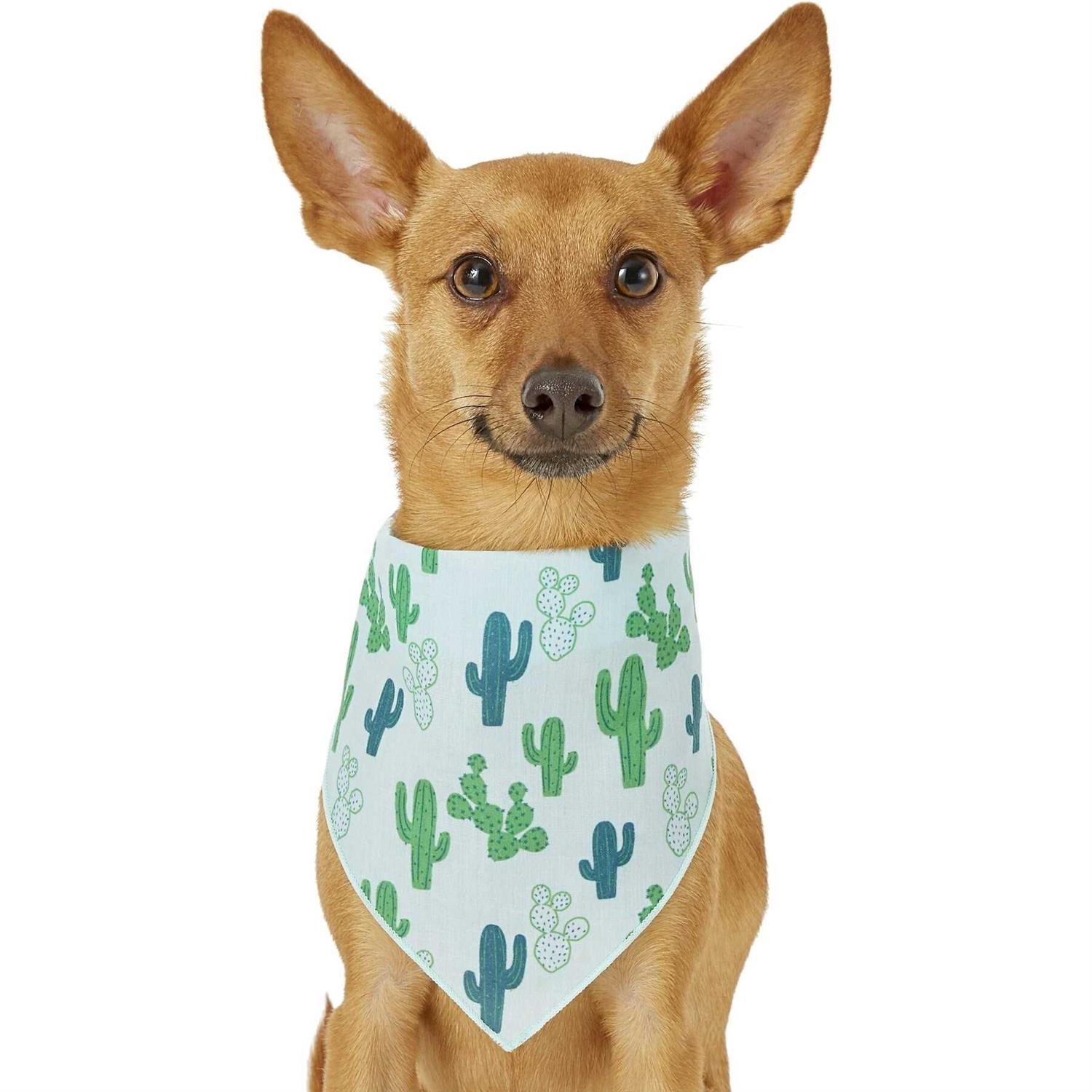 Aquaclear 20 Biomax Filter Insert - Image 5