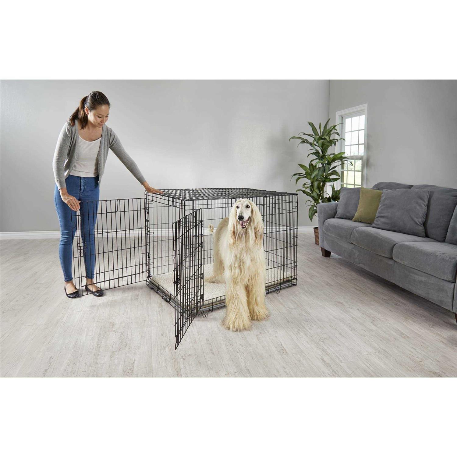 EveryYay Going Places 2-Door Folding Dog Crate - Image 4