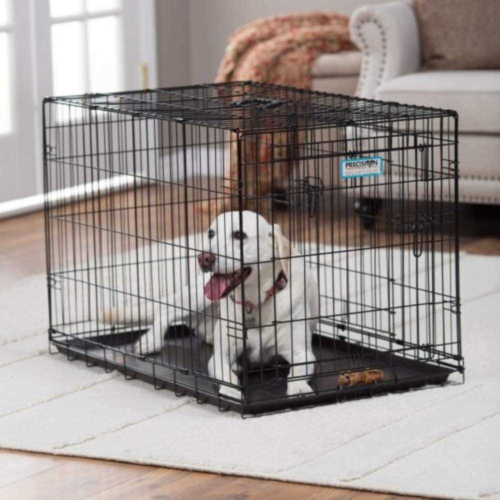 Precision Pet ProValu 2-Door Crate - Image 3