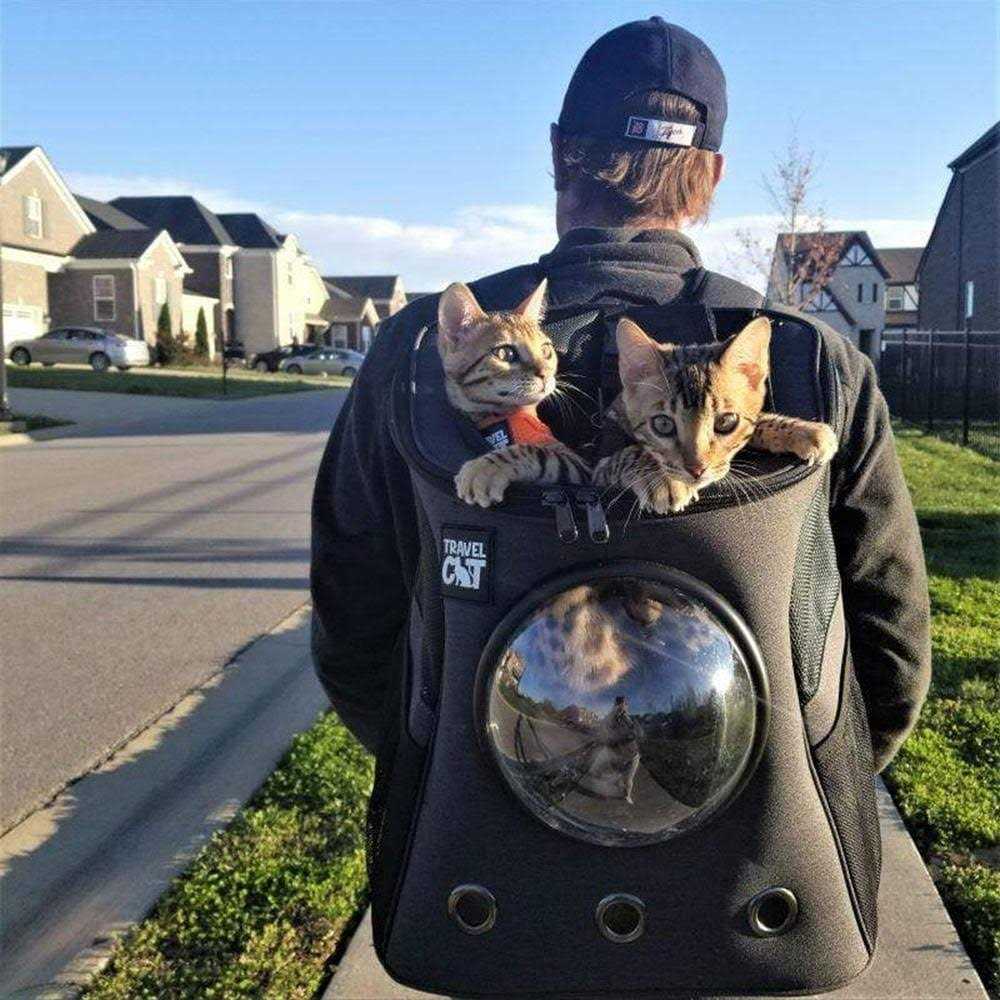 The Fat Cat Cat Backpack - Image 5
