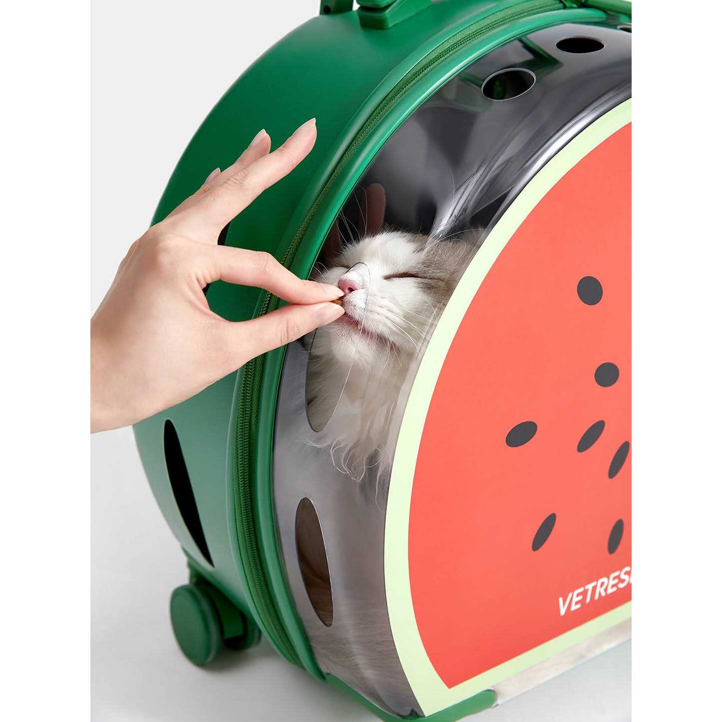 Vetreska Dog & Cat Carrier - Image 4