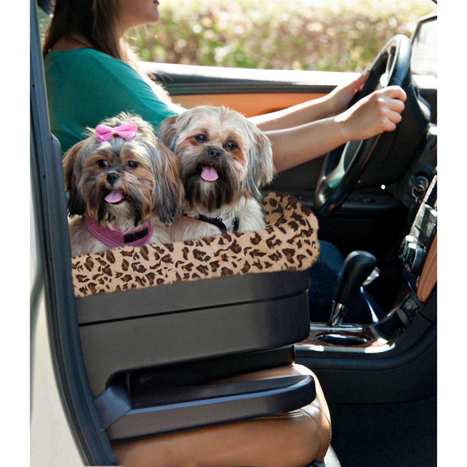 Pet Gear Bucket Booster Seat - Image 3