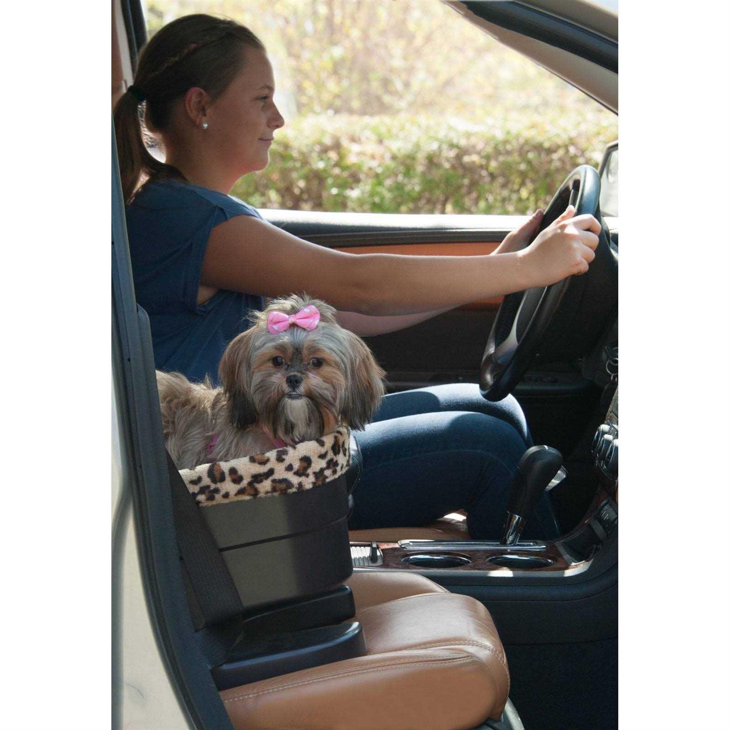 Pet Gear Bucket Booster Seat - Image 5