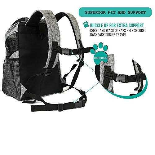 PetAmi Premium Pet Carrier Backpack for Small Cats and Dogs - Image 4