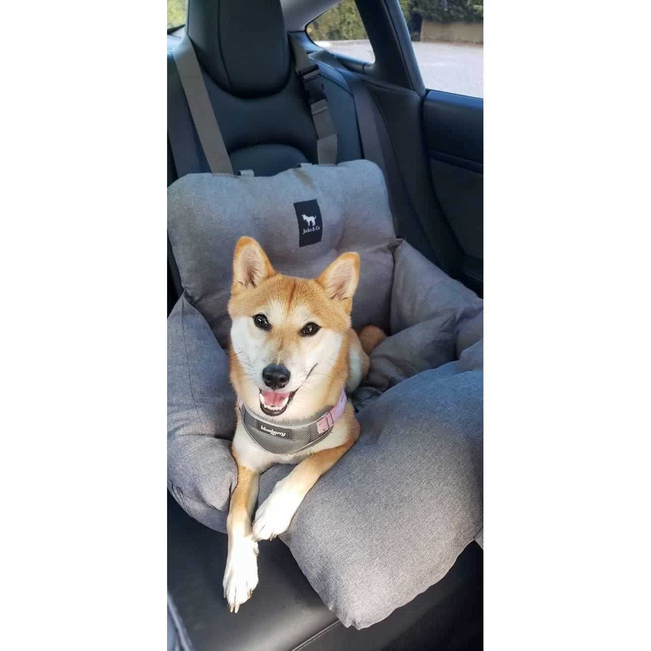 JACKO & CO Premium Dog Car Seat & Booster Seat for Small & Medium Pets Under 35lbs - Image 3