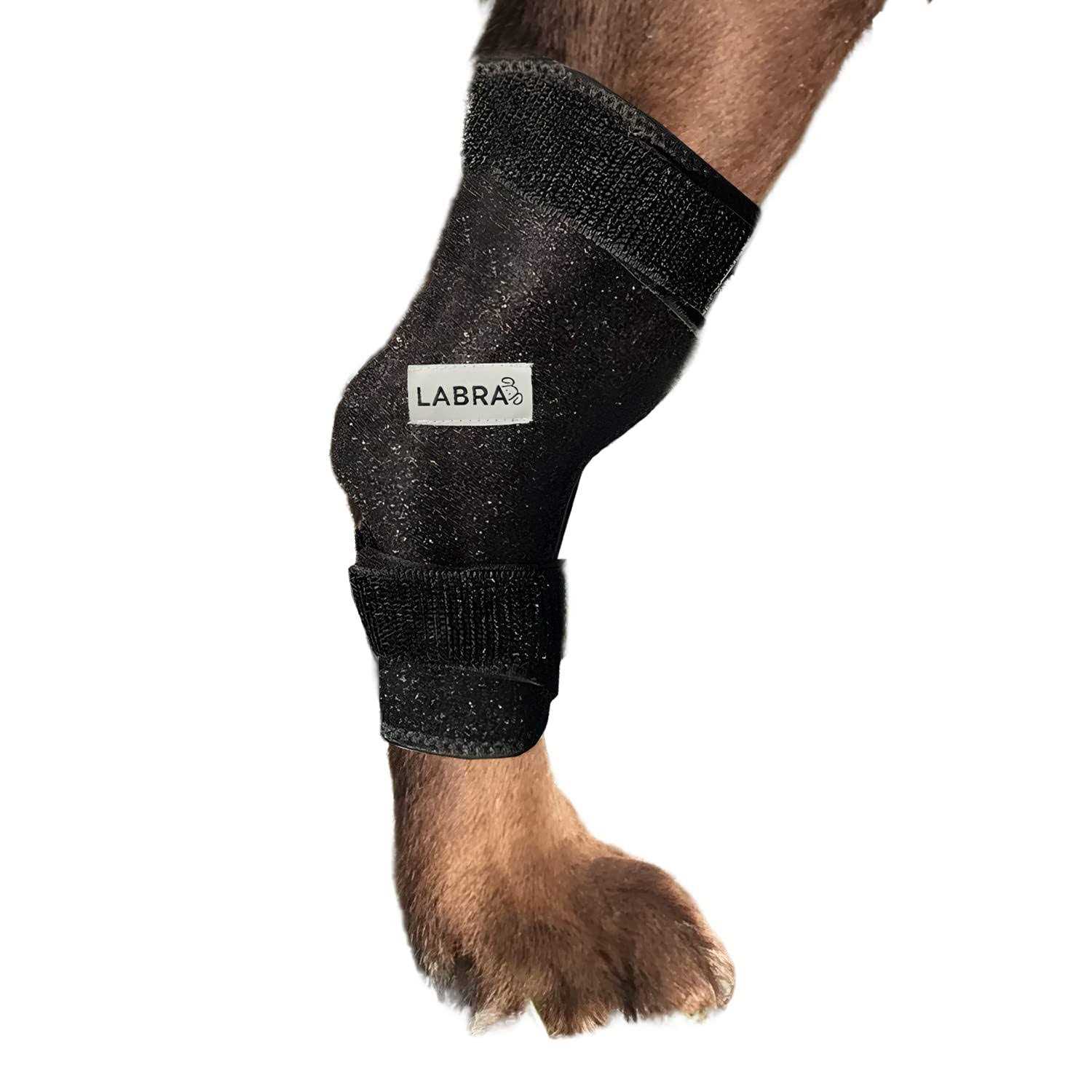 Labra Canine Heat Cold Therapy Dog Leg Wrap - Image 4