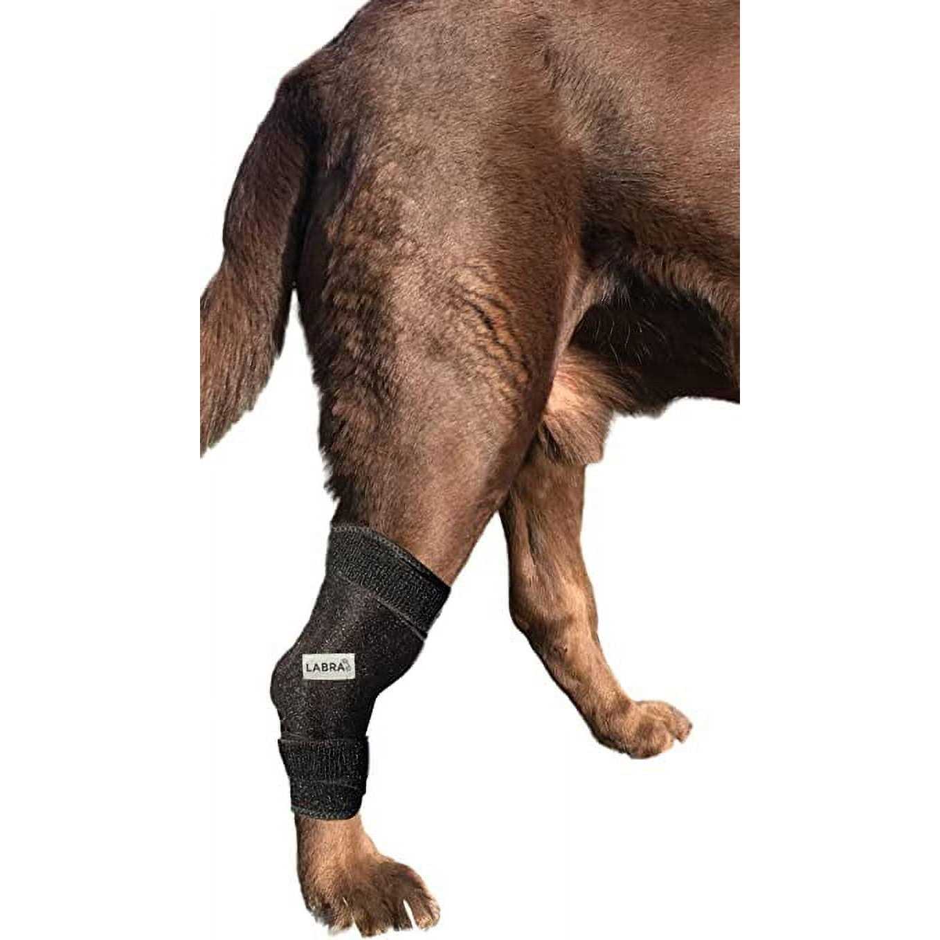 Labra Canine Heat Cold Therapy Dog Leg Wrap - Image 5