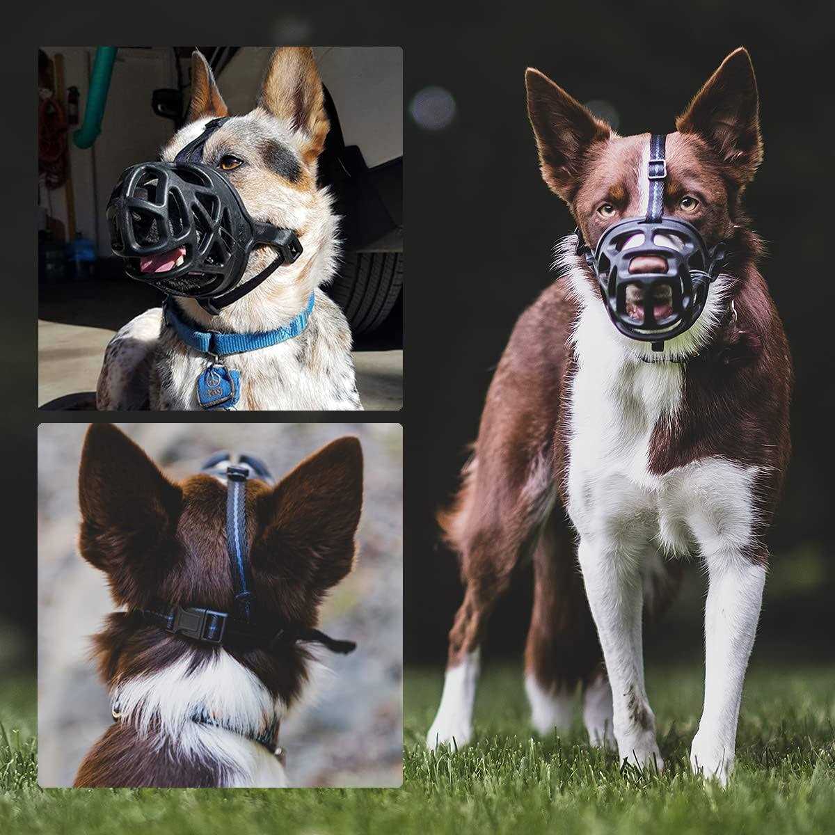 Mayerzon Dog Muzzle, Breathable Basket Muzzles for Small, Medium, Large and X-Large Dogs Biting, Barking and Chewing - Image 5