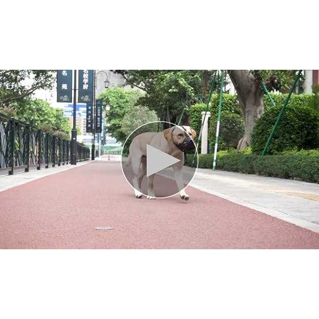 JIPIMON Dog Muzzle Prevents Biting Barking Chewing Breathable Drinkable Adjustable Basket Muzzle for Aggressive Small Medium Large Dogs - Image 4