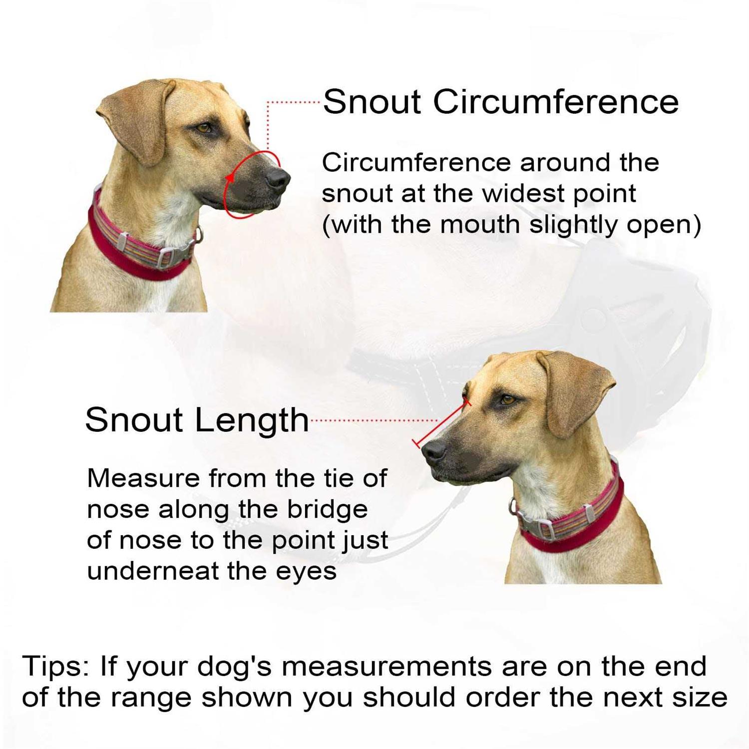 JIPIMON Dog Muzzle Prevents Biting Barking Chewing Breathable Drinkable Adjustable Basket Muzzle for Aggressive Small Medium Large Dogs - Image 5