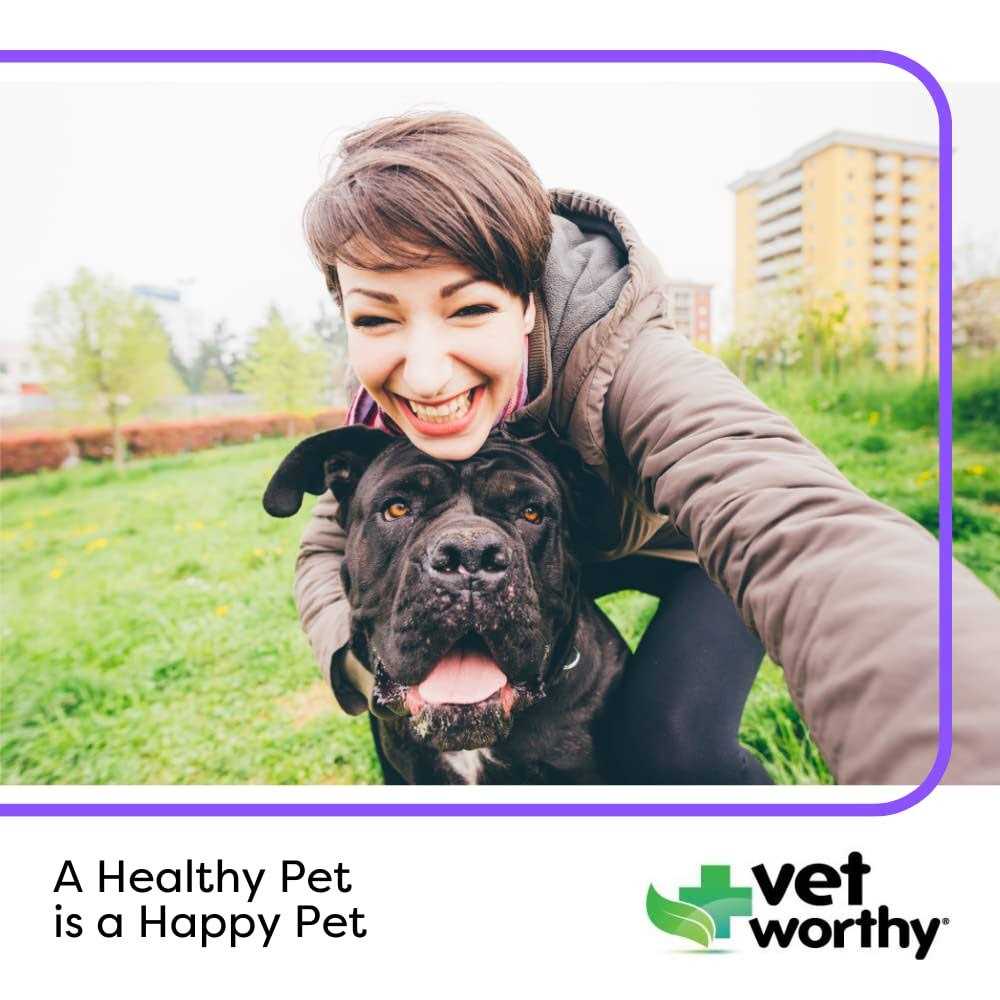 Vet Worthy Chewable Dog Toothpaste - Image 4