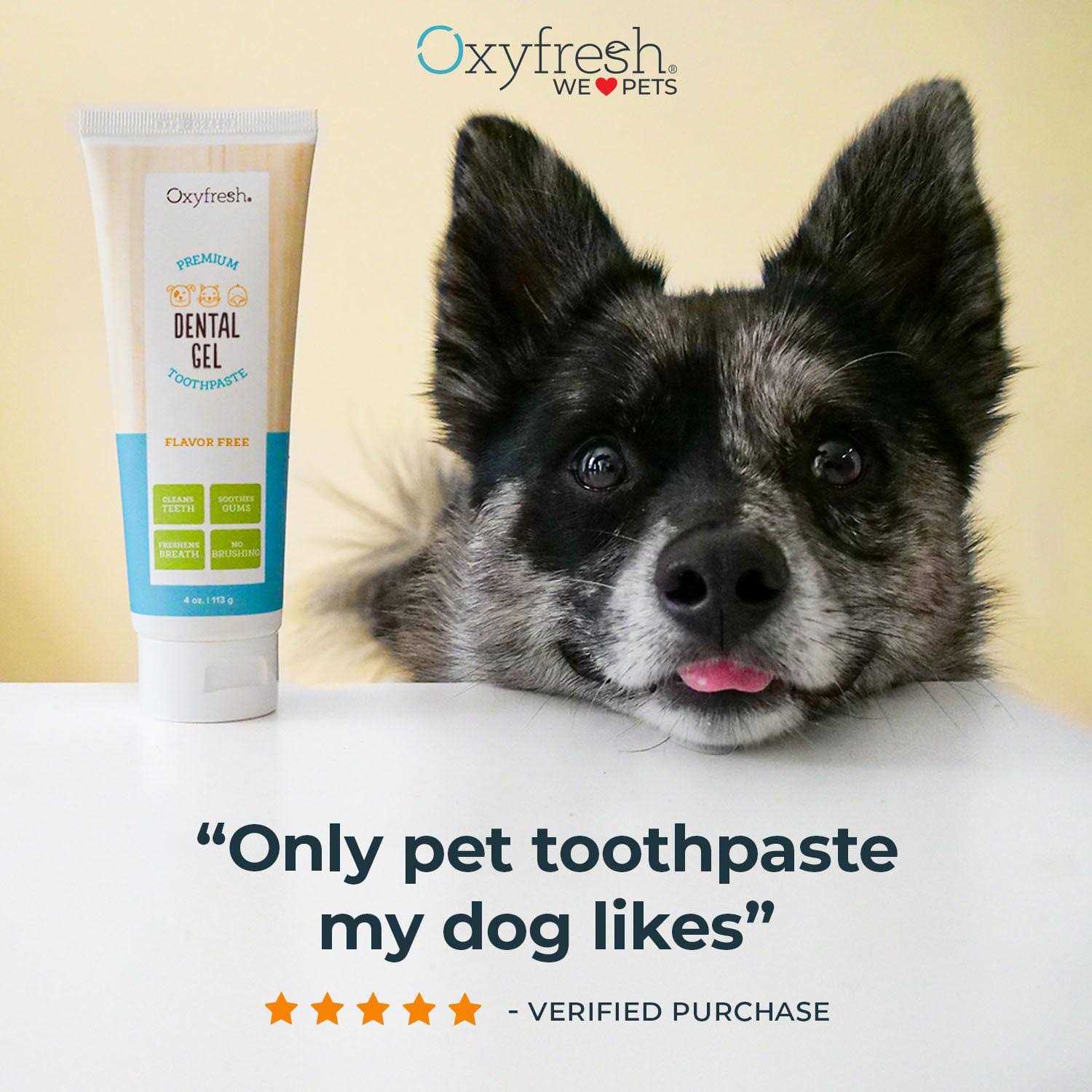 Oxyfresh Pet Dental Gel Toothpaste - Image 5
