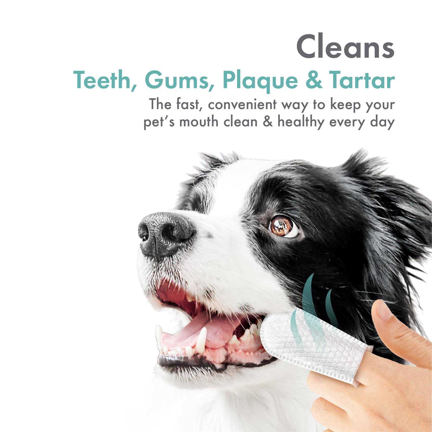 Petkin Fingertip Tooth Wipes for Dogs and Cats 50 Finger Wipes - Image 3