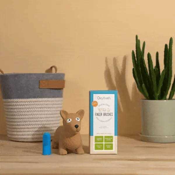 Oxyfresh Pet Finger Brush Blue - Image 3