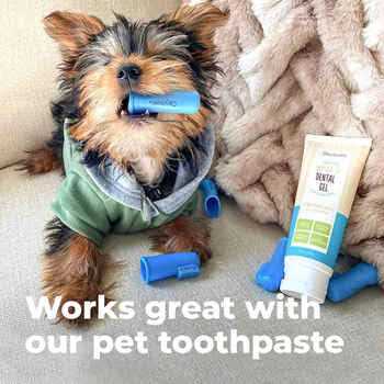 Oxyfresh Pet Finger Brush Blue - Image 4