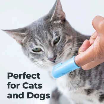 Oxyfresh Pet Finger Brush Blue - Image 5