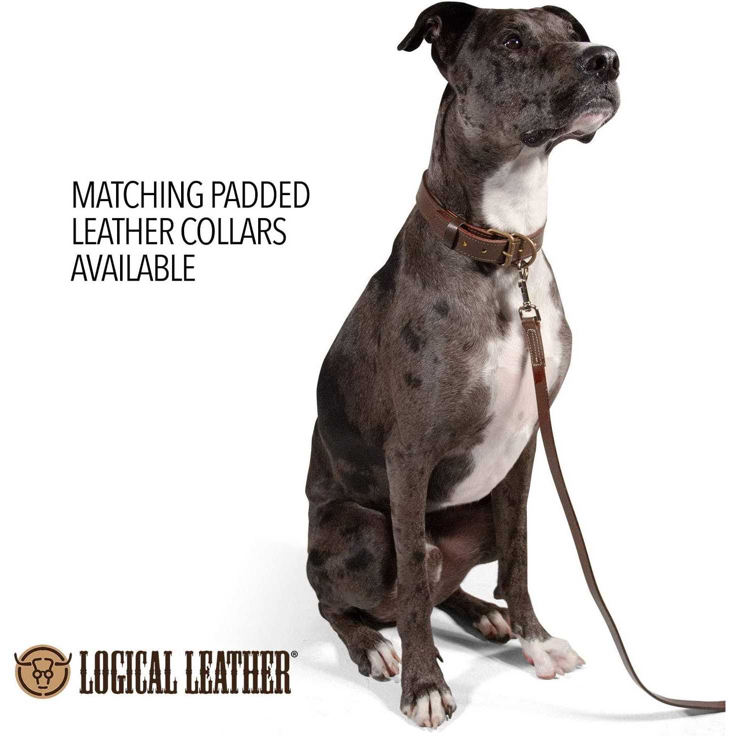 Logical Leather Dog Leash Best for Training - Image 5