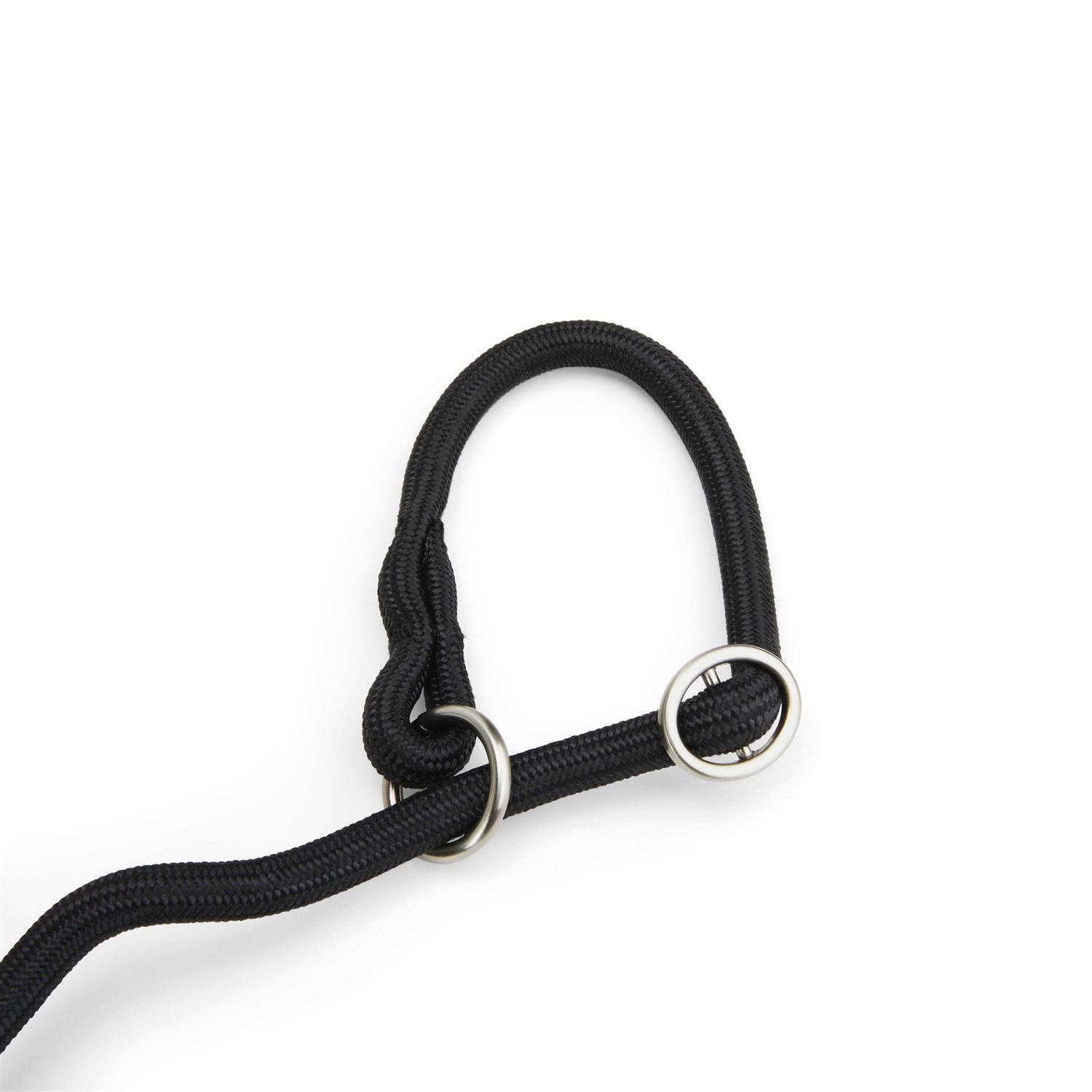 EveryYay Settin' the Pace Training Rope Slip Lead for Dogs - Image 4