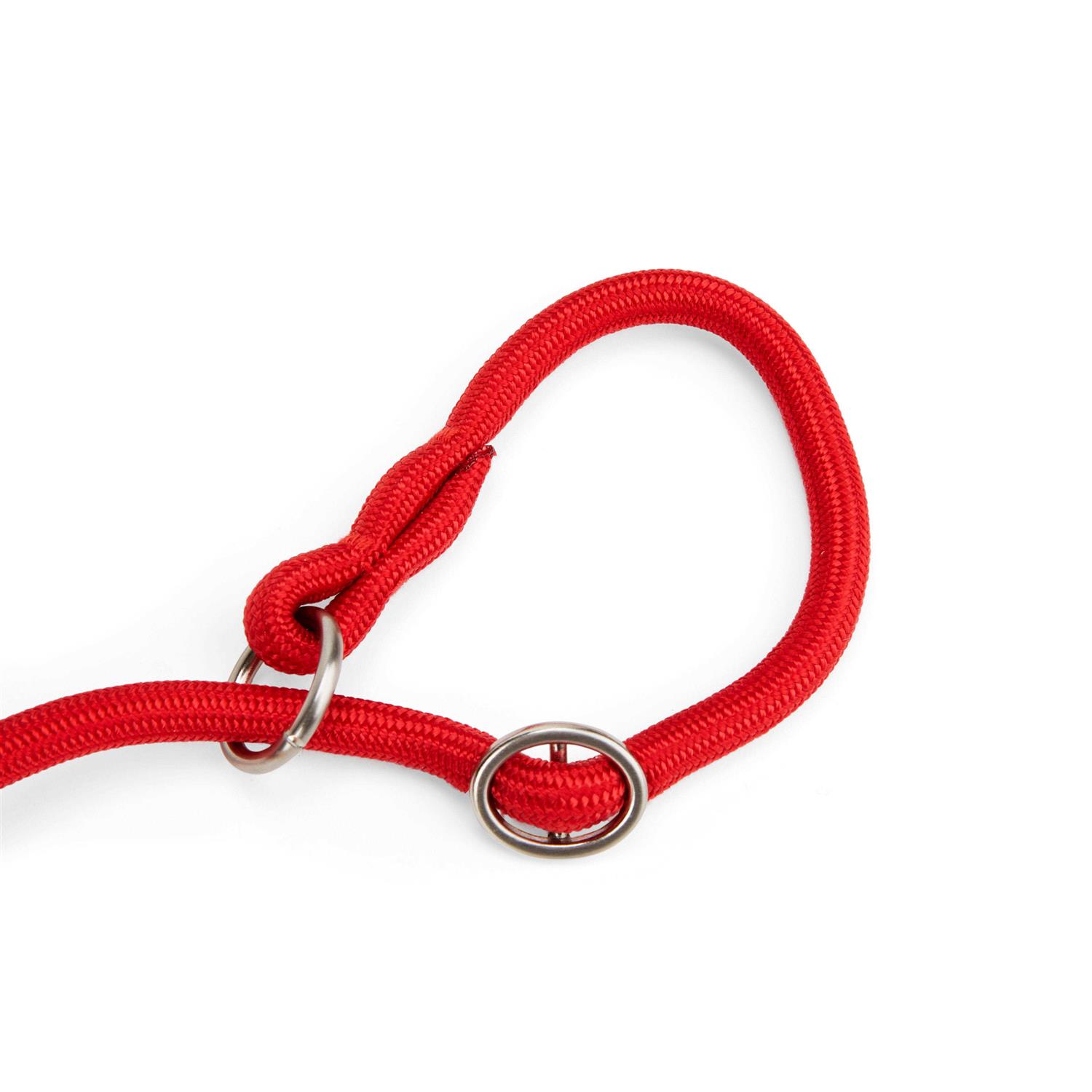 EveryYay Settin' the Pace Training Rope Slip Lead for Dogs - Image 5