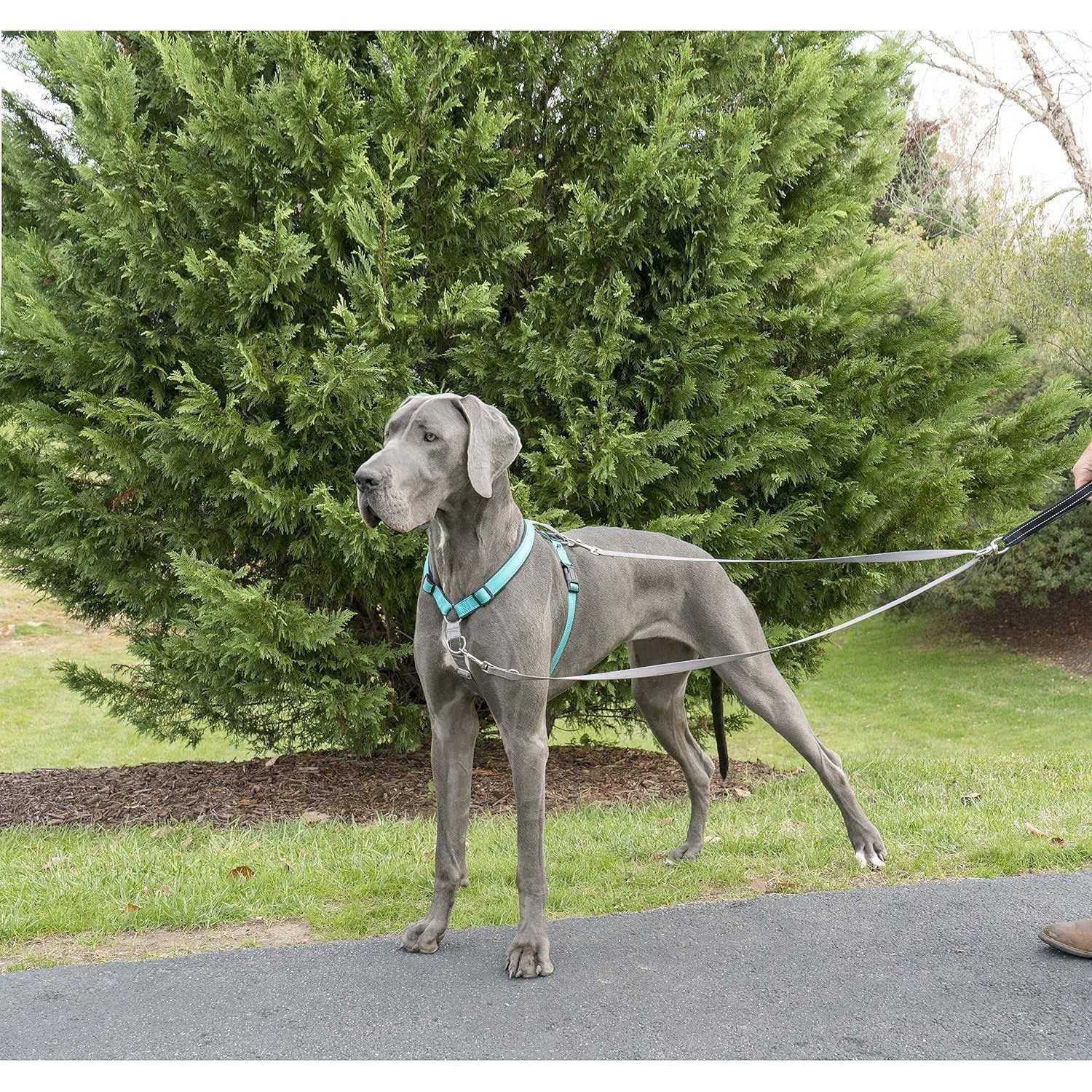 PetSafe Two Point Control Dog Leash - Image 3