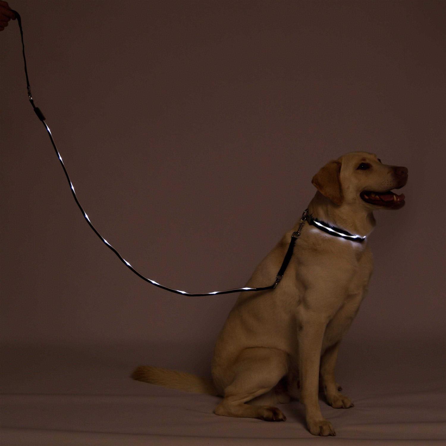 Blazin Safety LED Dog Leash USB Rechargeable Flashing Light - Image 3