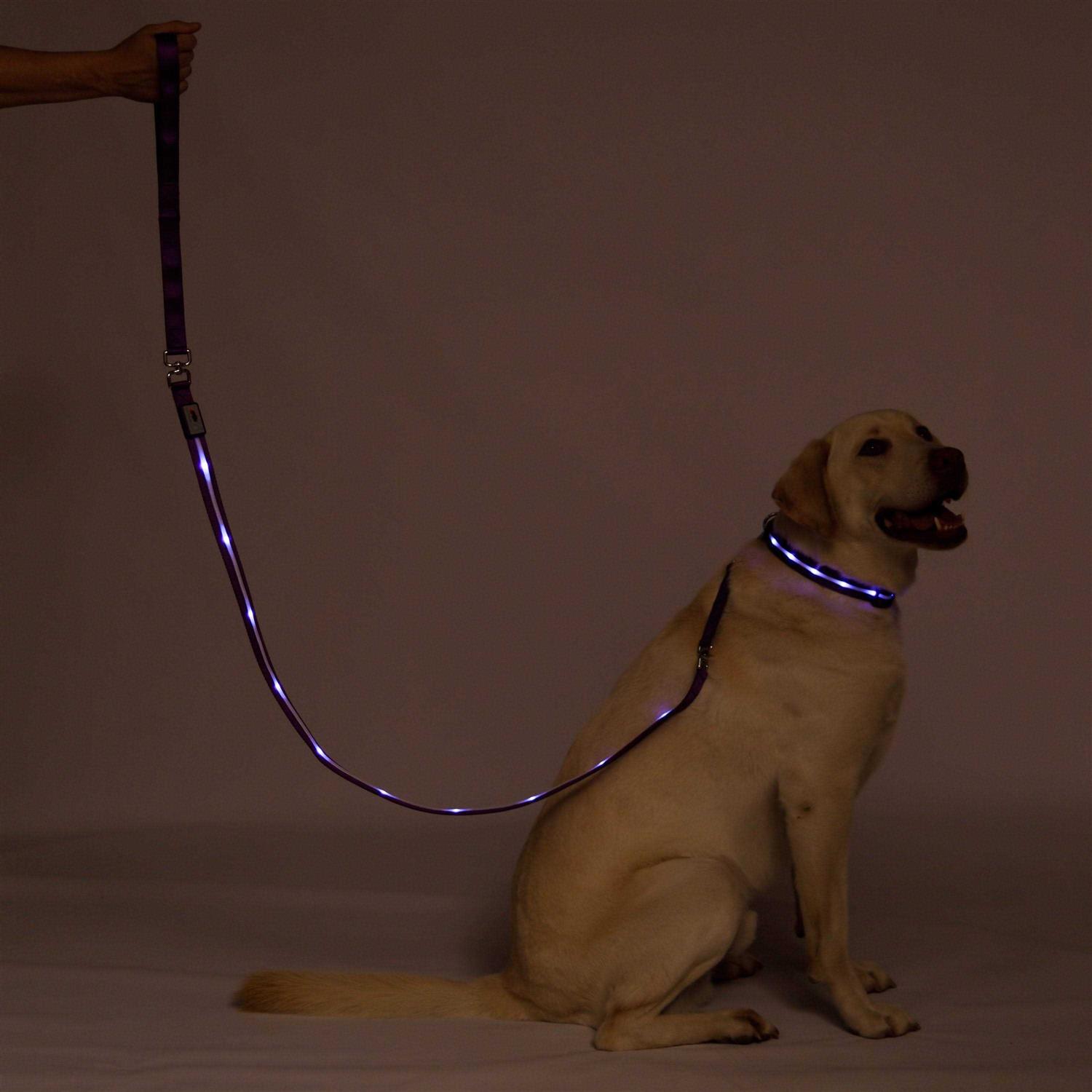 Blazin Safety LED Dog Leash USB Rechargeable Flashing Light - Image 4