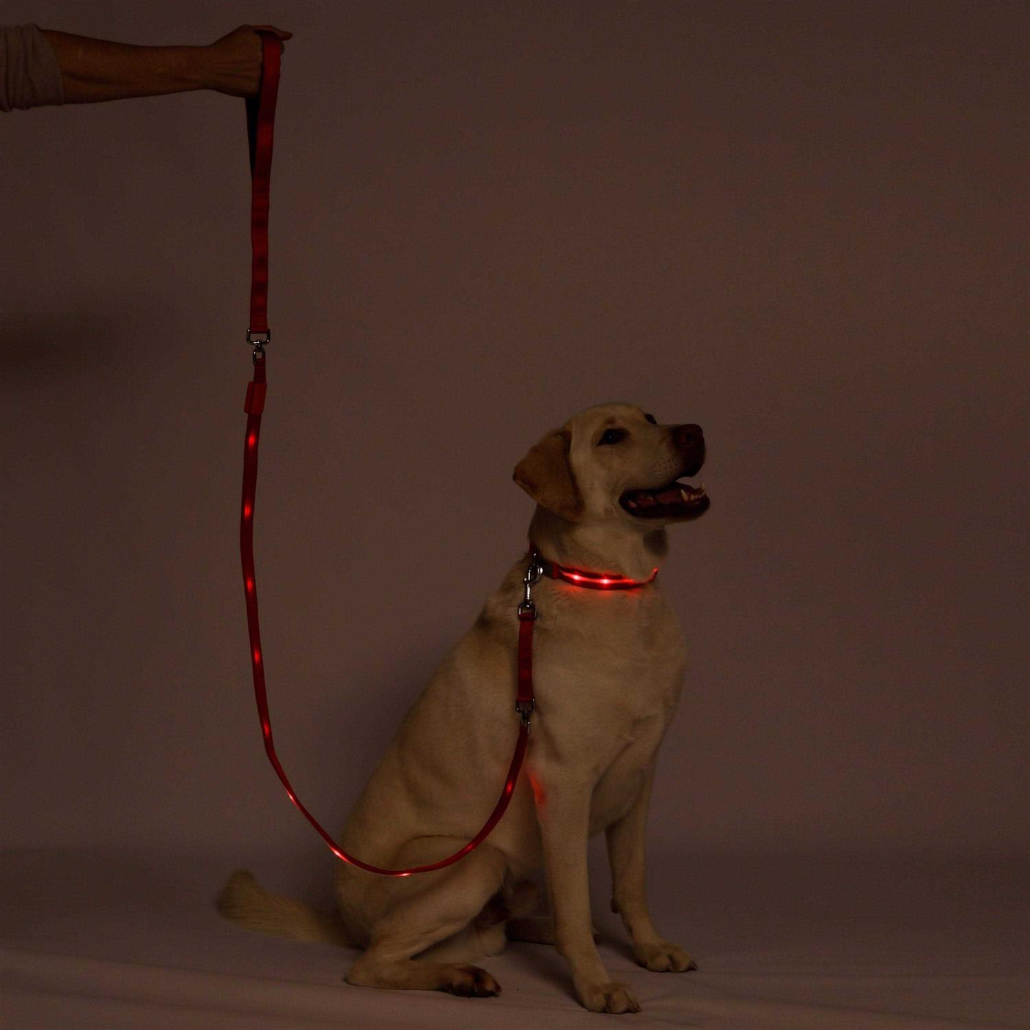 Blazin Safety LED Dog Leash USB Rechargeable Flashing Light - Image 5