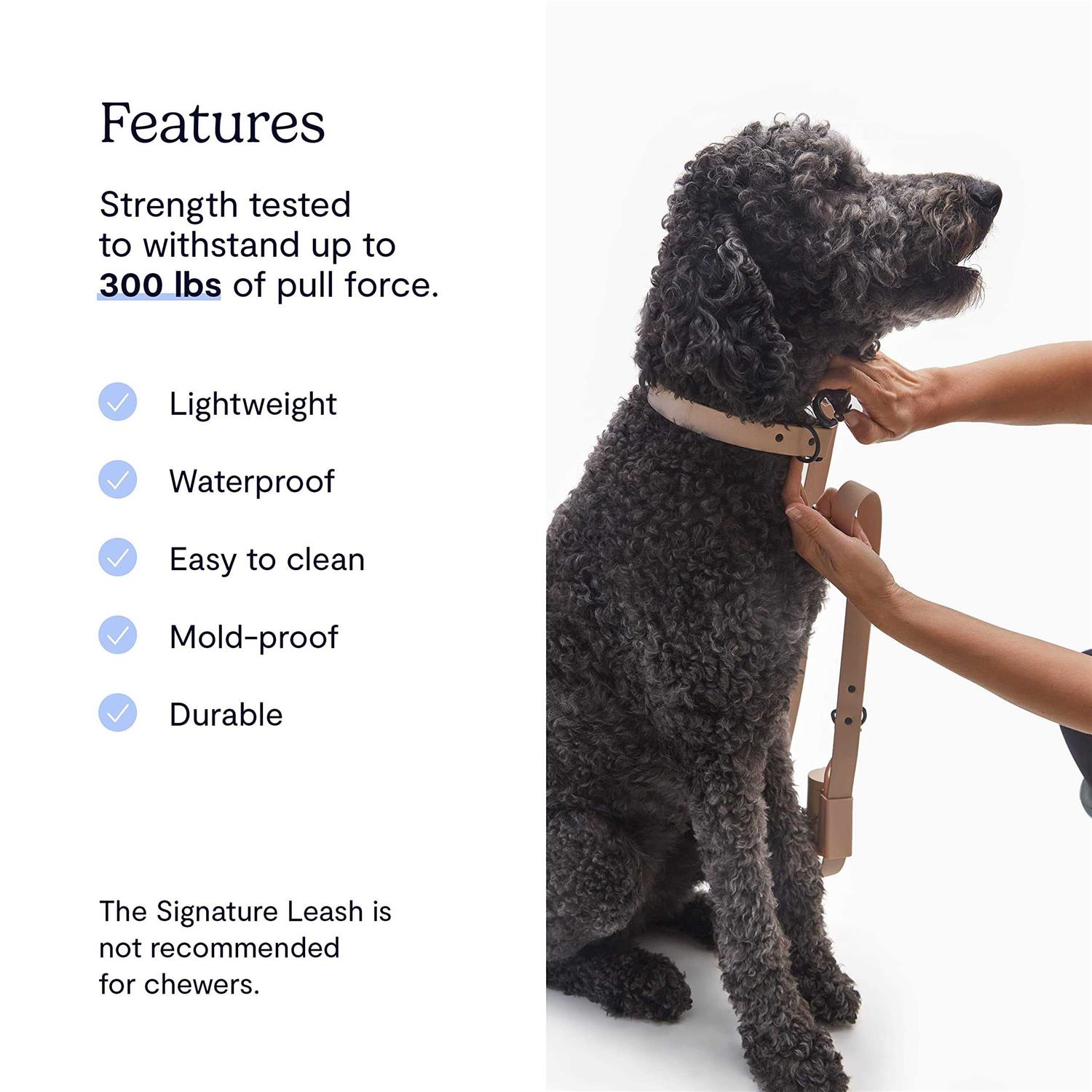 Fable Pets Signature Dog Leash - Image 3