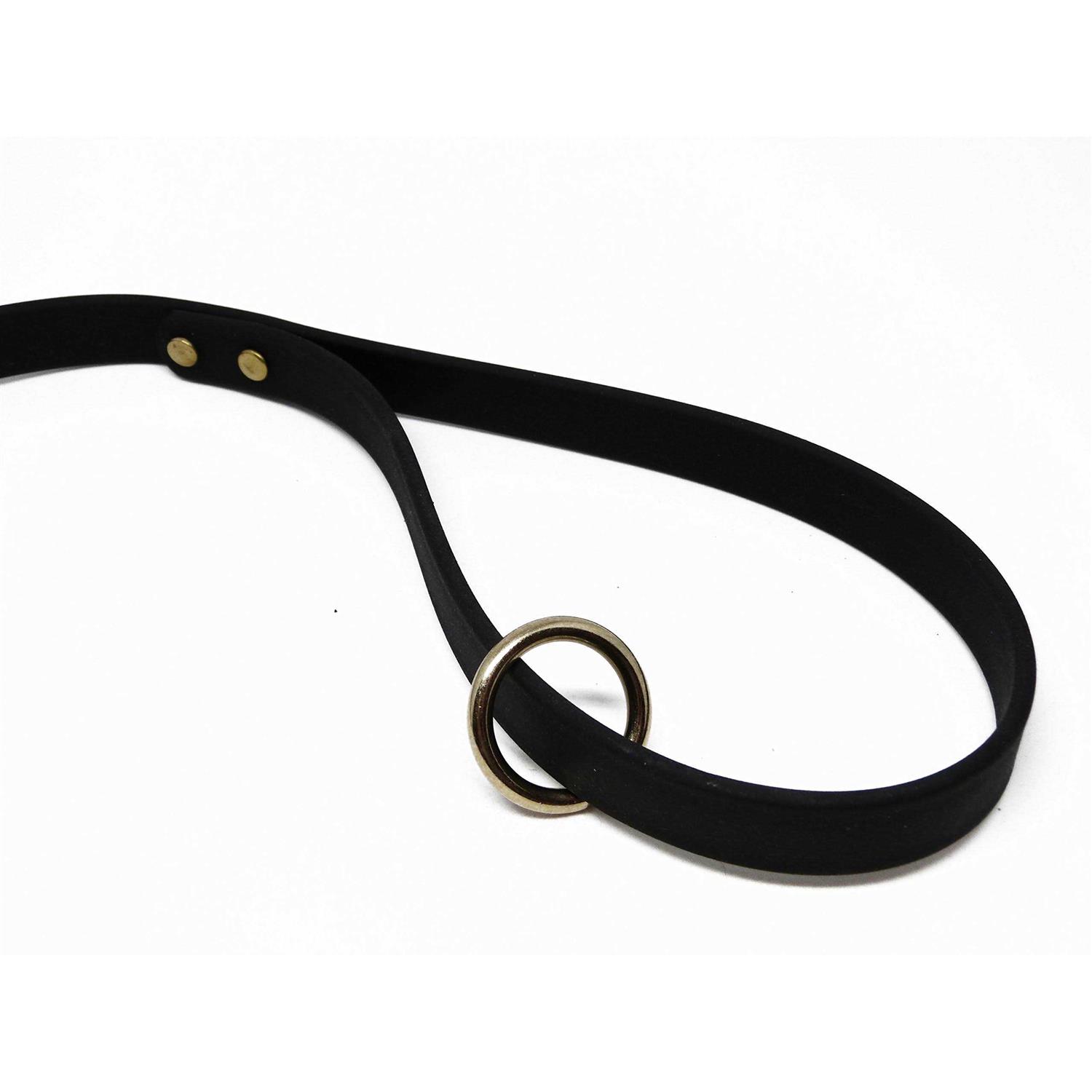 Jim Hodges Dog Training gummy Dog Leash Biothane Dog Training Leash - Image 3