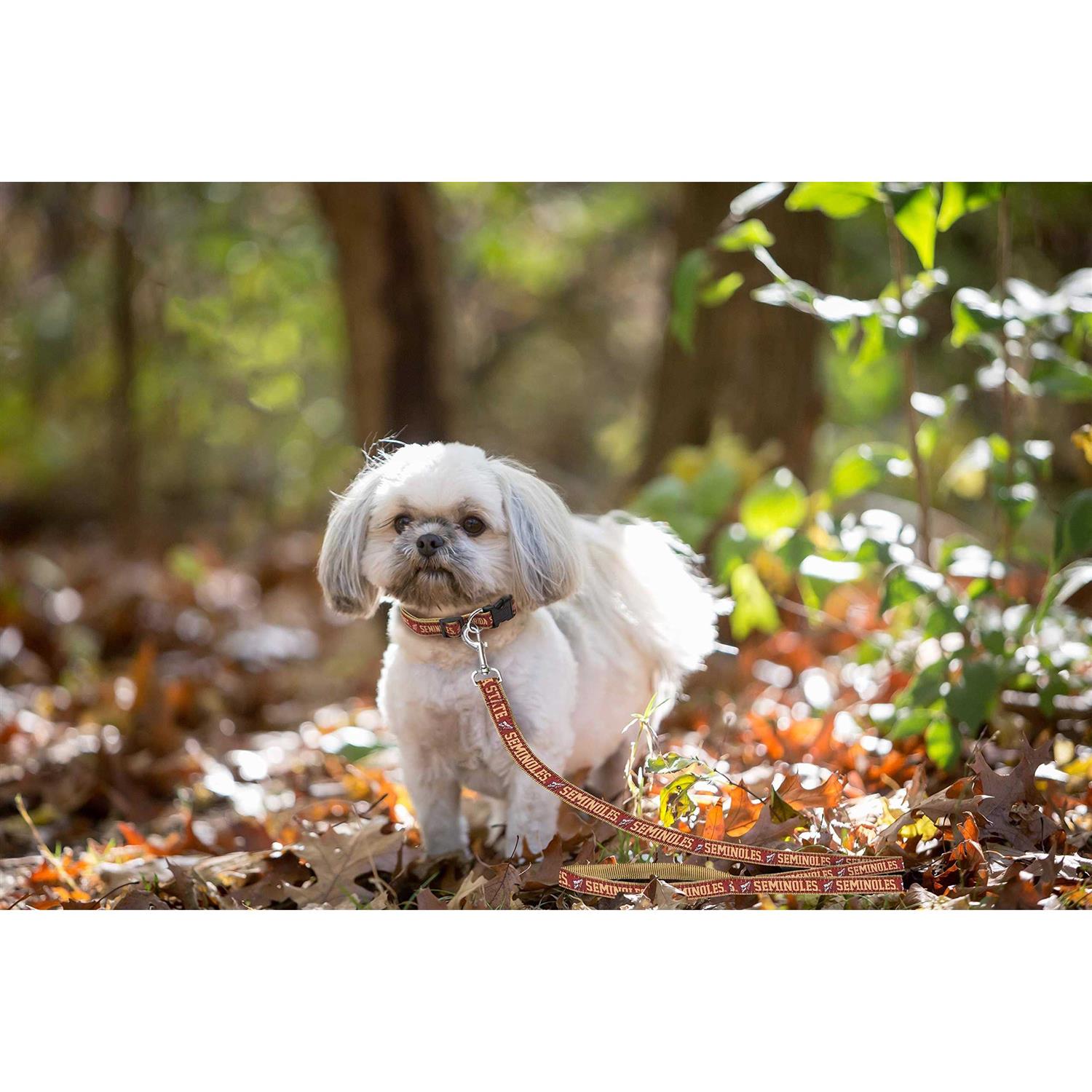 Pet Leash Pets First - Image 3