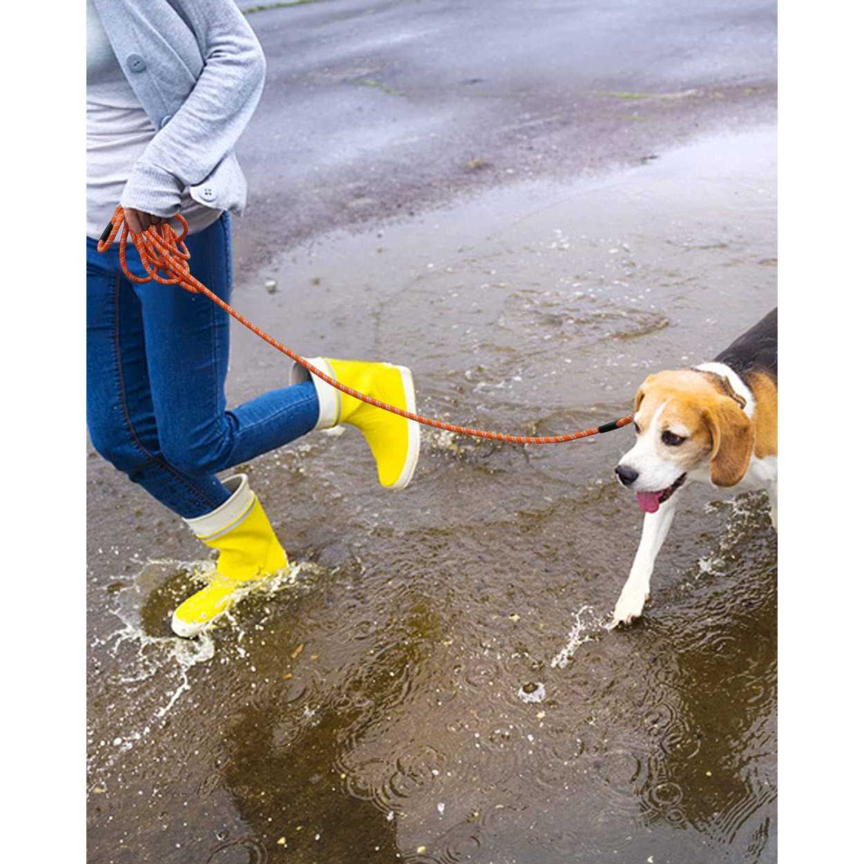 Lanwandeng Long Dog Leash for Dog Training 10FT/16FT/30FT/50FT/100FT Reflective Threads Check Cord Dog Leash - Image 3