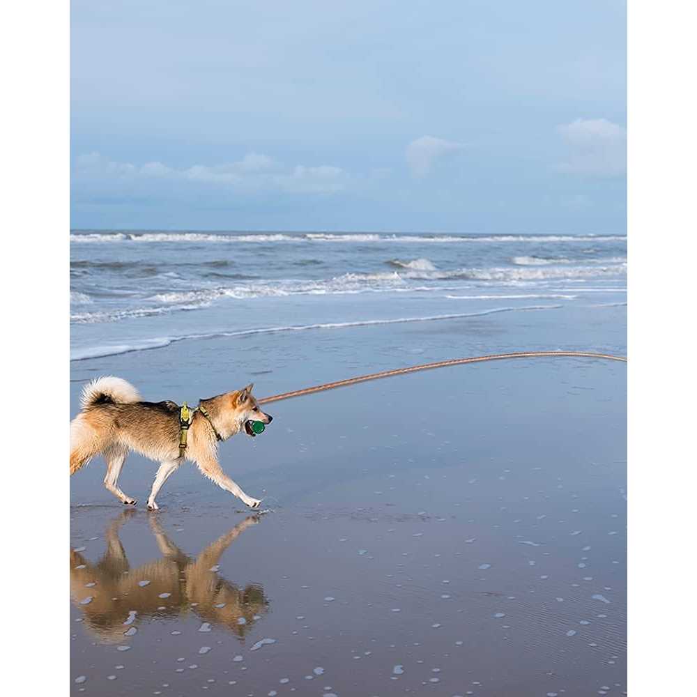 Lanwandeng Long Dog Leash for Dog Training 10FT/16FT/30FT/50FT/100FT Reflective Threads Check Cord Dog Leash - Image 4