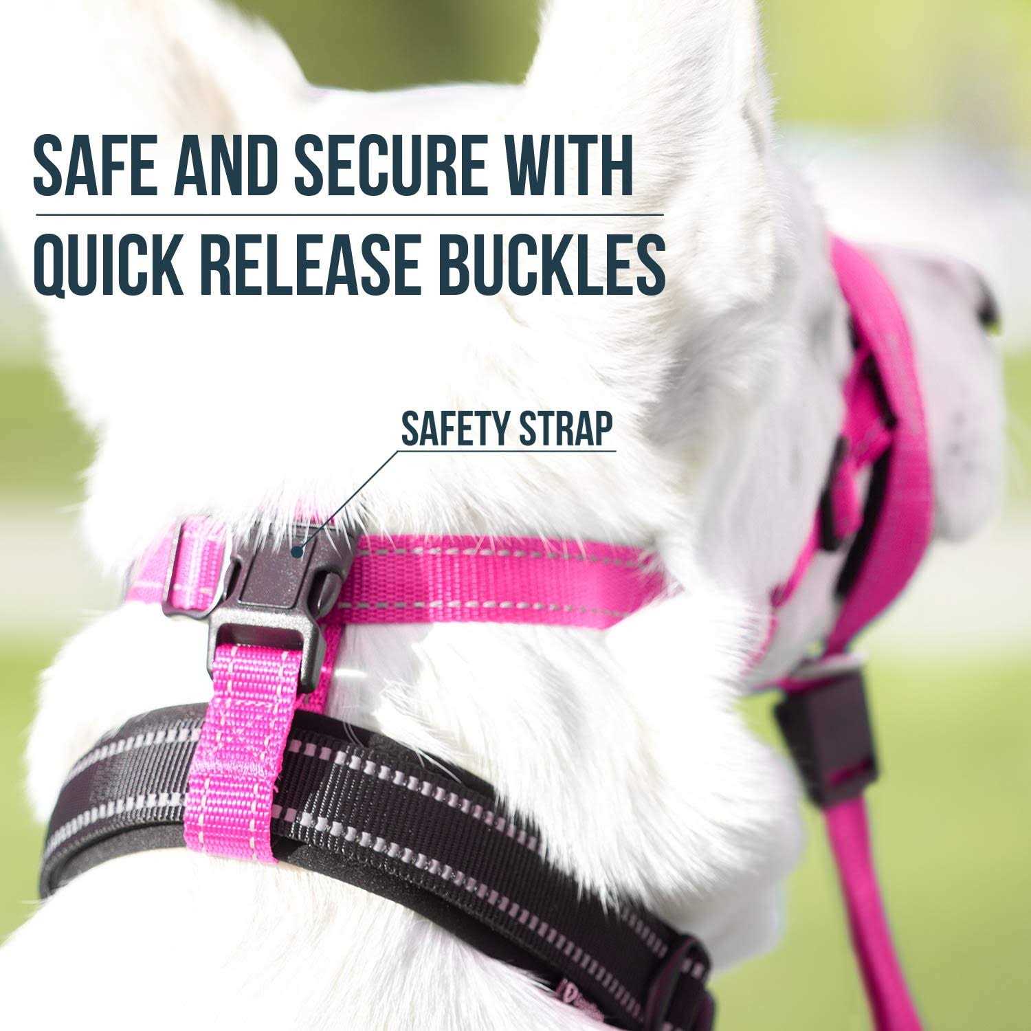 GoodBoy Dog Head Halter with Safety Strap Stops Heavy Pulling On The Leash - Image 4