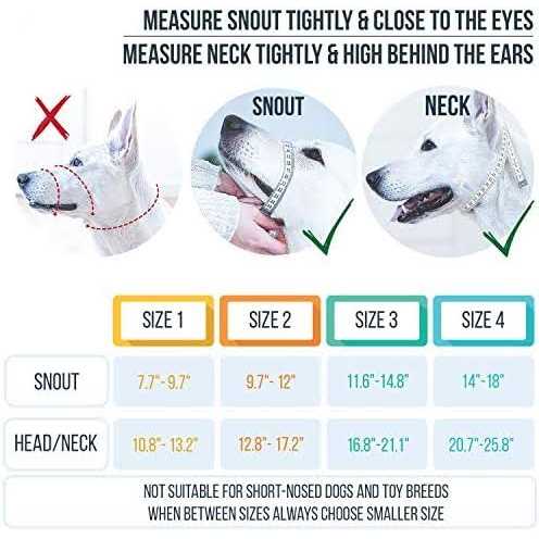 GoodBoy Dog Head Halter with Safety Strap Stops Heavy Pulling On The Leash - Image 5