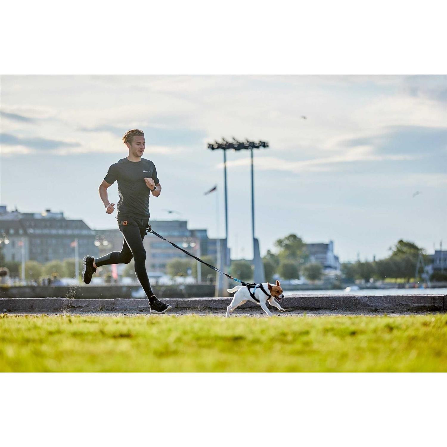 Non-Stop Dogwear Bungee Size - Image 5