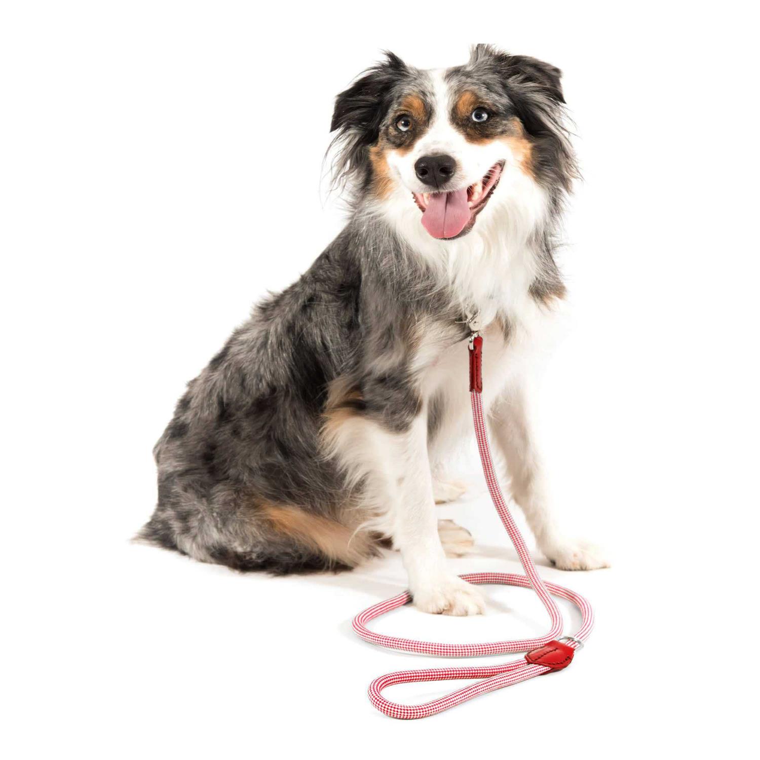 Harry Barker Check Rope Dog Leash - Image 4