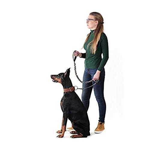 PetSpy Two Handle Dog Leash with Shock Absorbing - Image 4