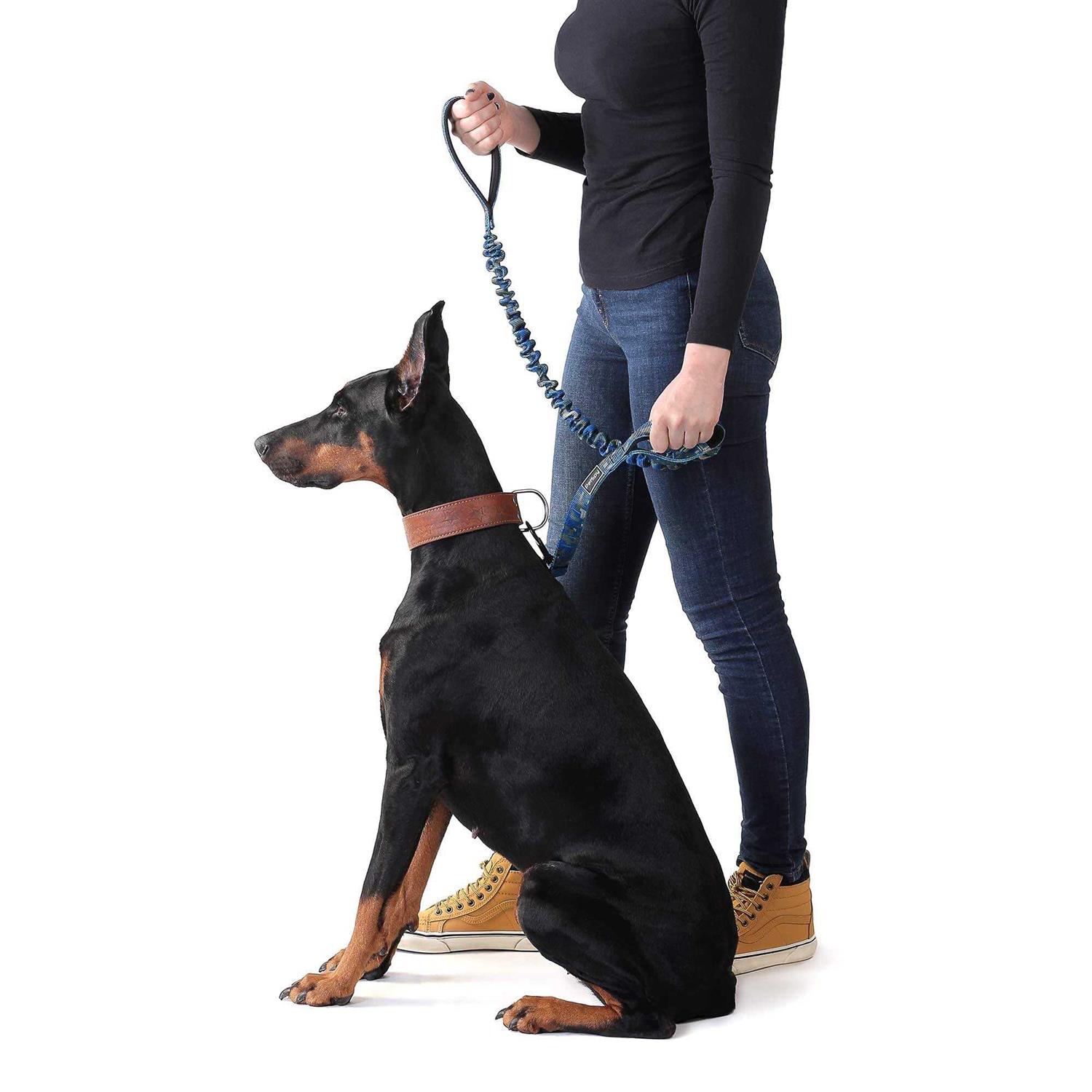 PetSpy Two Handle Dog Leash with Shock Absorbing - Image 5