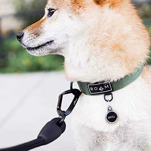 MADE TO ROAM Premium Everyday Leash Ultra Soft Dog Leash with Aviation Aluminum Carabiner for Small - Image 3