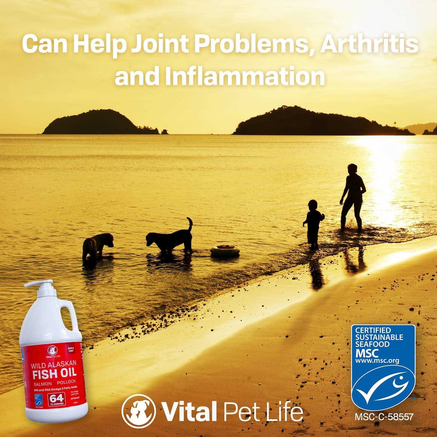 Vital Pet Life Fish Oil for Dogs - Image 4