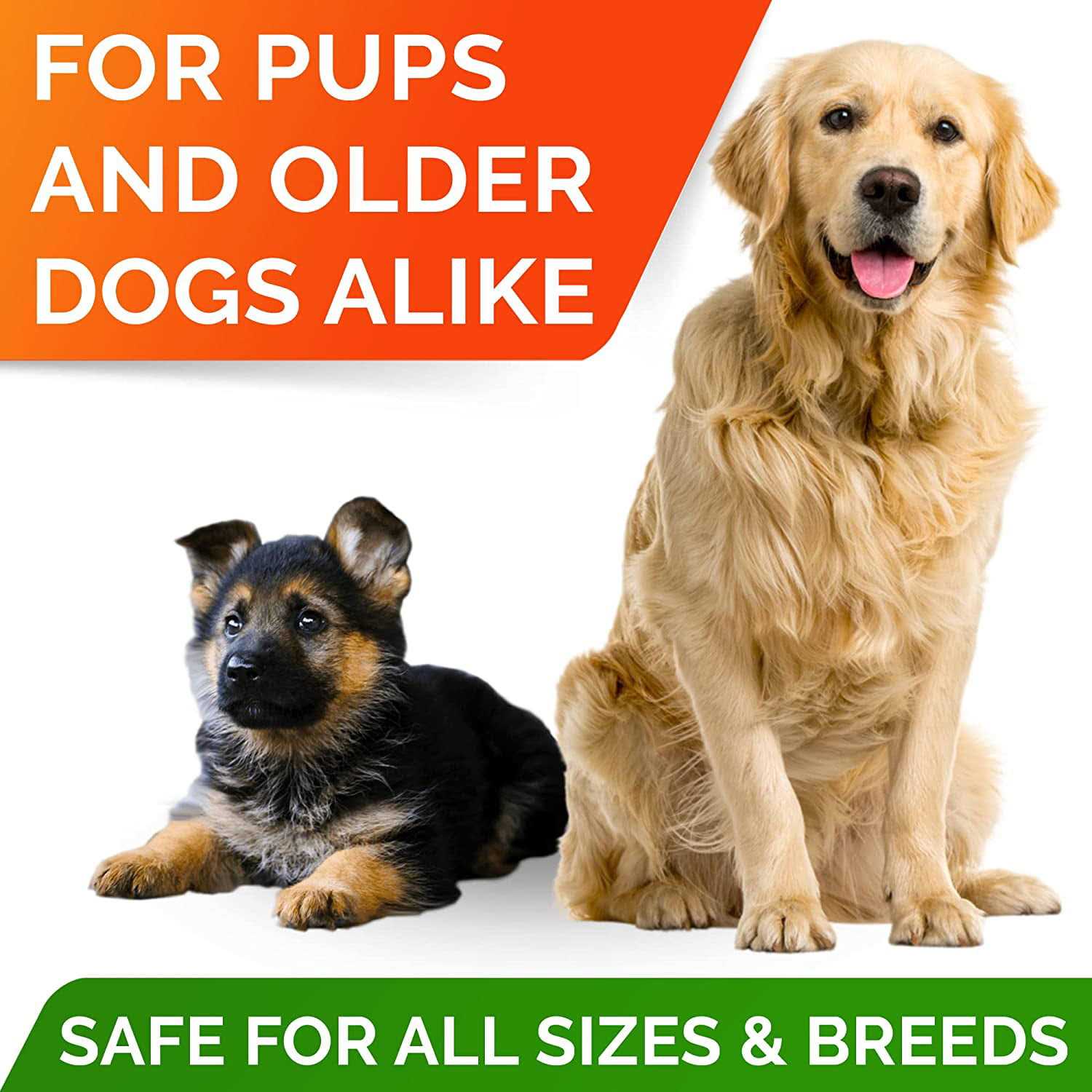 StrellaLab Fish Oil Omega 3 Treats for Dogs - Image 5