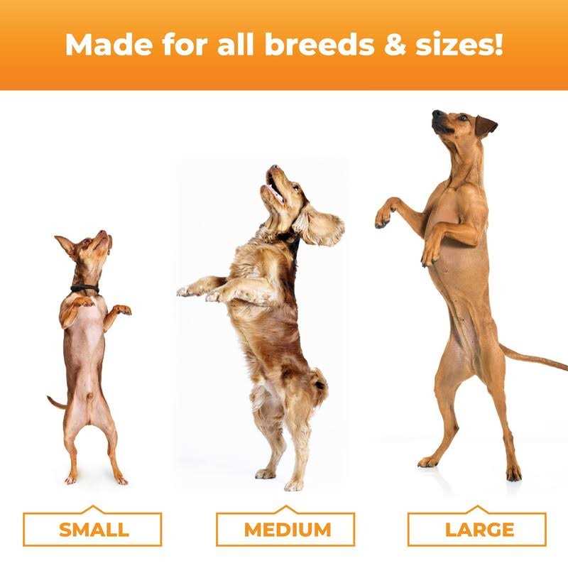 GlycoFlex 3 Dogs - Image 4