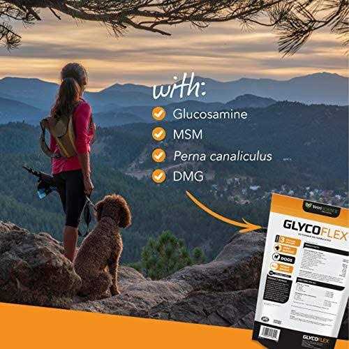GlycoFlex 3 Dogs - Image 5